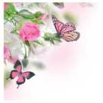 Large - plain card