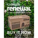 Oasis Renewal Floral Foam