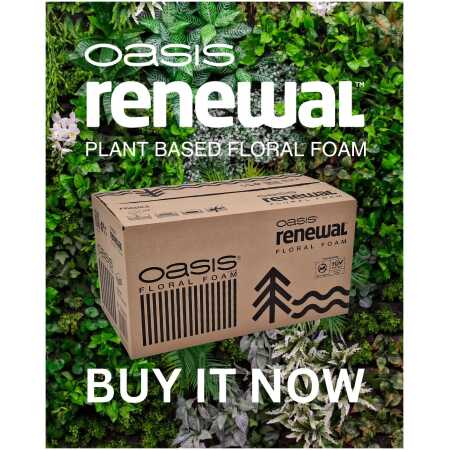 Oasis Renewal Floral Foam box of 12 bricks