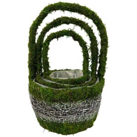 Moss Twig Set of 3 Round Planters