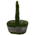 MOSS TWIG SET OF 3 OVAL