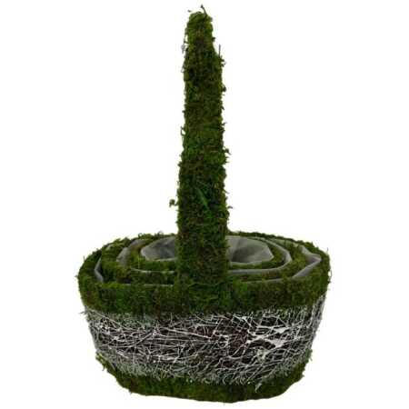 MOSS TWIG SET OF 3 OVAL