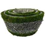 Moss Twig Set of 3 Round Planters