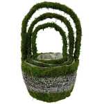 Moss Twig Set of 3 Round Planters