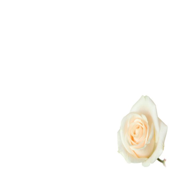 Small Plain Card