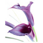 Large - in loving memory of dear dad