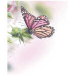 Small Plain Card