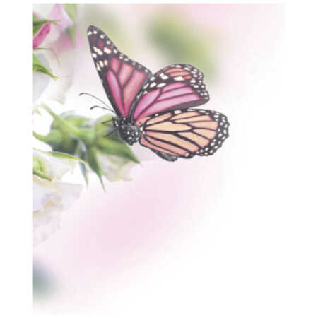 Small Plain Card