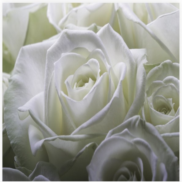 Folded Vintage Flowers, The Baggery Sundries UK Ltd Folded Vintage Flowers