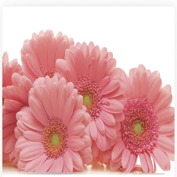 Folded Vintage Flowers, The Baggery Sundries UK Ltd Folded Vintage Flowers