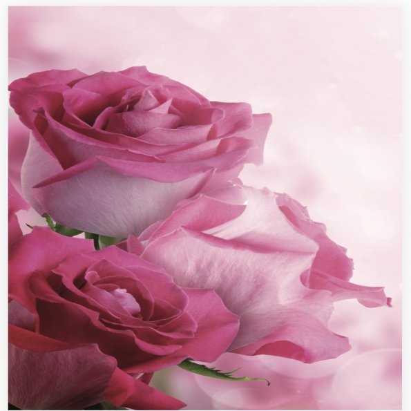 Folded Vintage Flowers