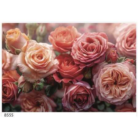 Folded Mixed Roses Spray