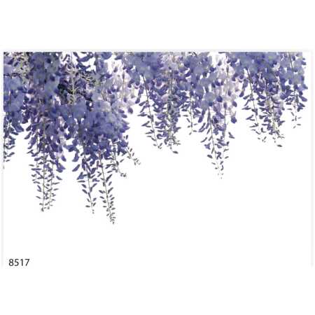 Folded Wisteria