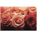 Folded Red Vingtage Roses