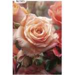 Folded Peach Roses