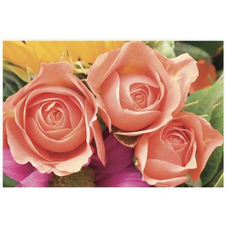 Folded Pink Roses
