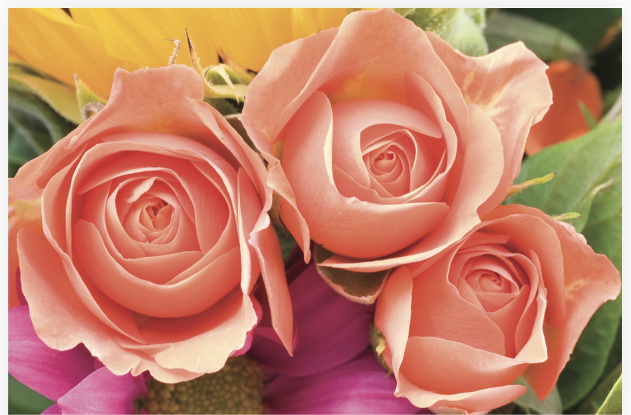 Folded Vintage Flowers, The Baggery Sundries UK Ltd Folded Vintage Flowers