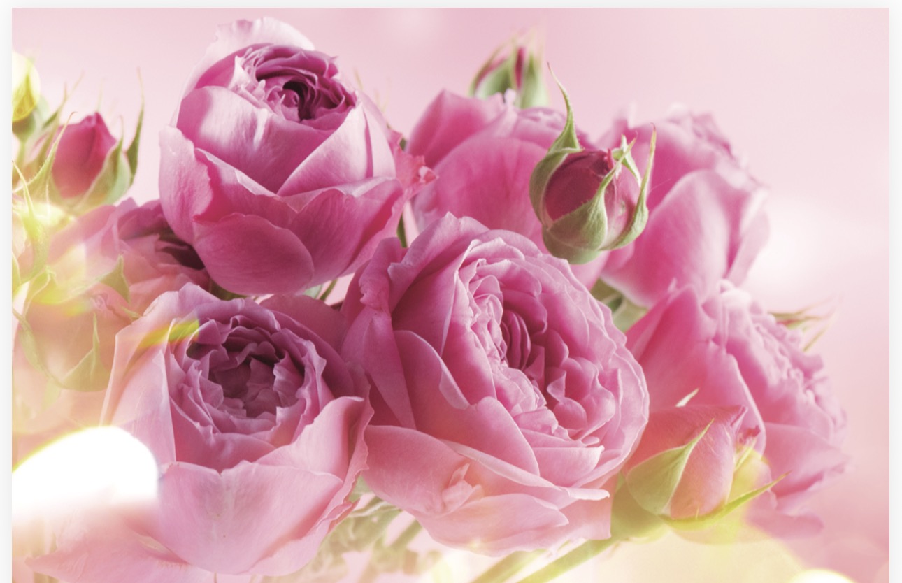 Folded Vintage Flowers, The Baggery Sundries UK Ltd Folded Vintage Flowers