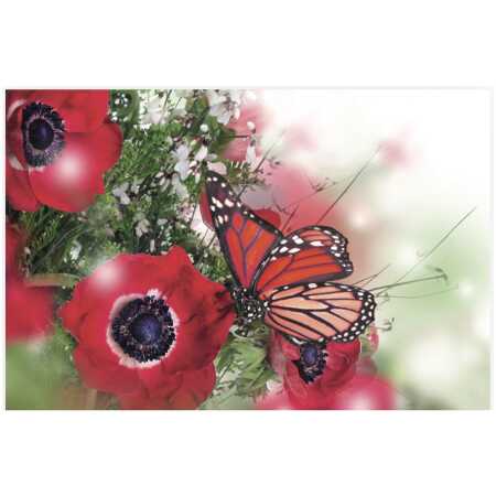 Folded Poppies & ButterFlies