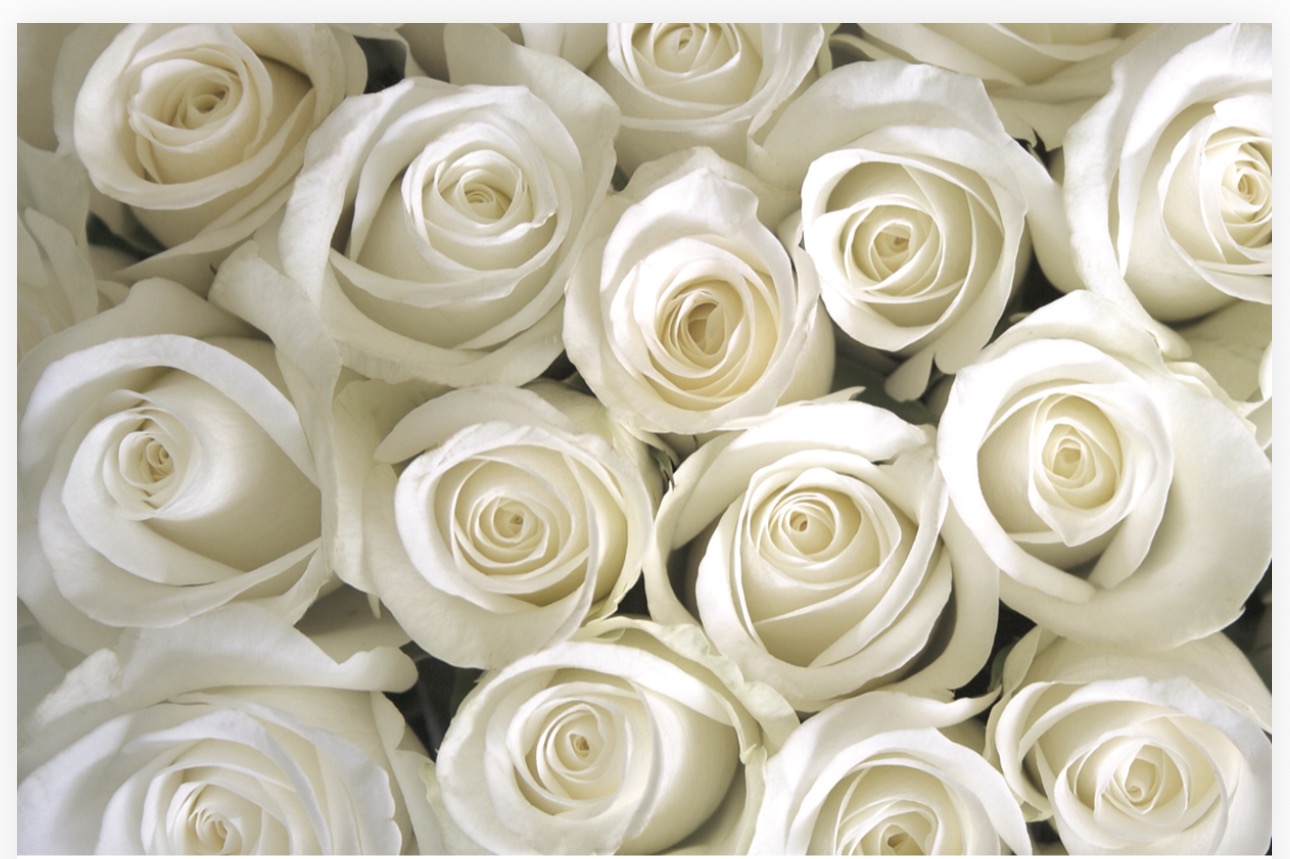 Folded Vintage Flowers, The Baggery Sundries UK Ltd Folded Vintage Flowers