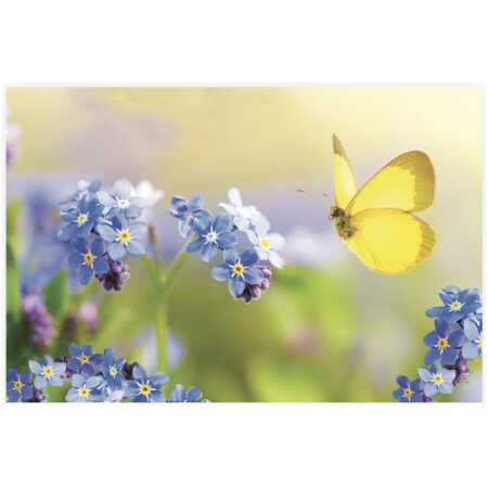 Folded Blue Forget Me not