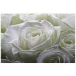 Folded White Delicate Rose