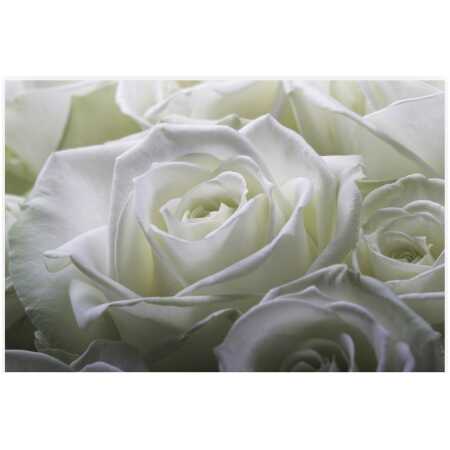 Folded White Delicate Rose