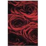Folded Red Roses