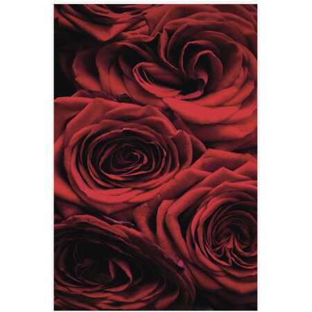 Folded Red Roses