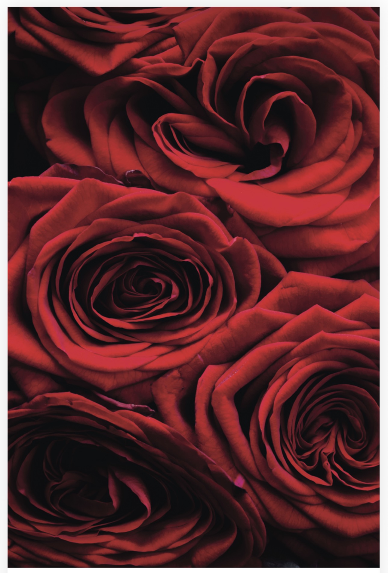 Folded Vintage Flowers, The Baggery Sundries UK Ltd Folded Vintage Flowers