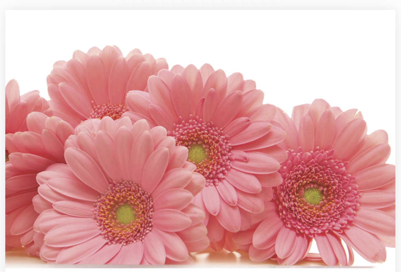 Folded Vintage Flowers, The Baggery Sundries UK Ltd Folded Vintage Flowers