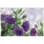 Folded Purple Eustoma