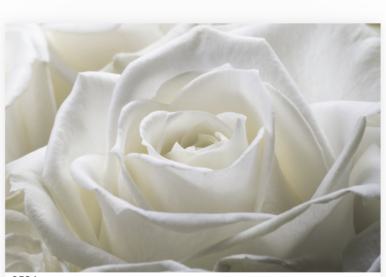 Folded Vintage Flowers, The Baggery Sundries UK Ltd Folded Vintage Flowers