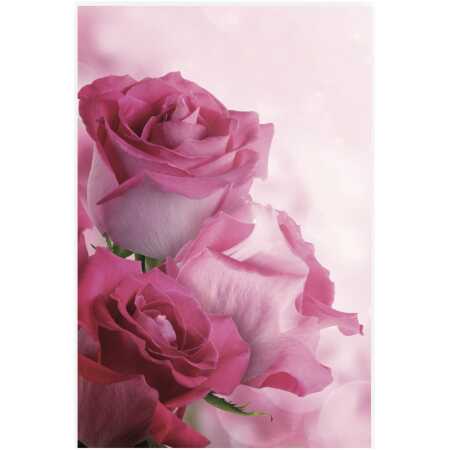 Folded Pink Rose