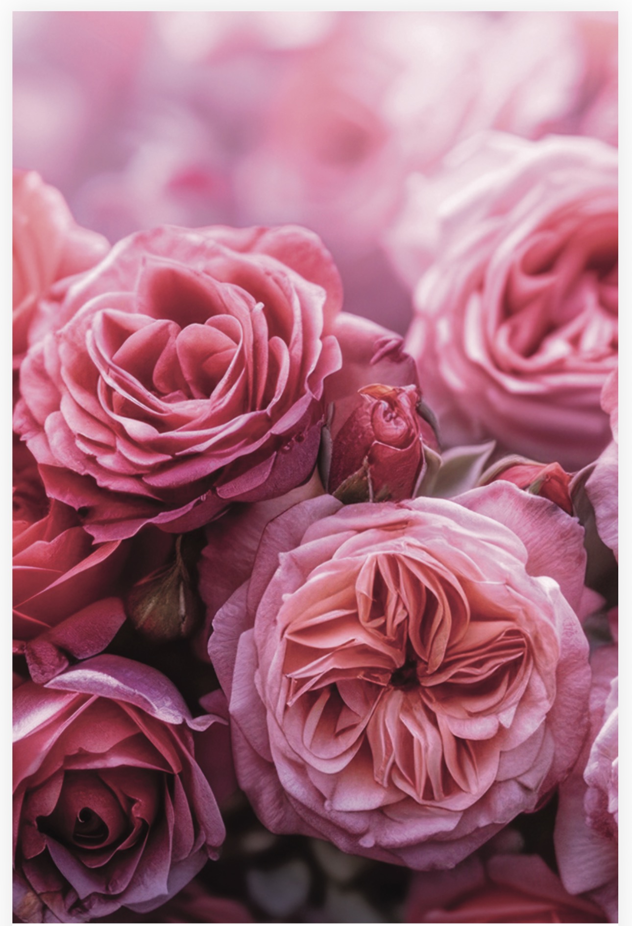 Folded Vintage Flowers, The Baggery Sundries UK Ltd Folded Vintage Flowers