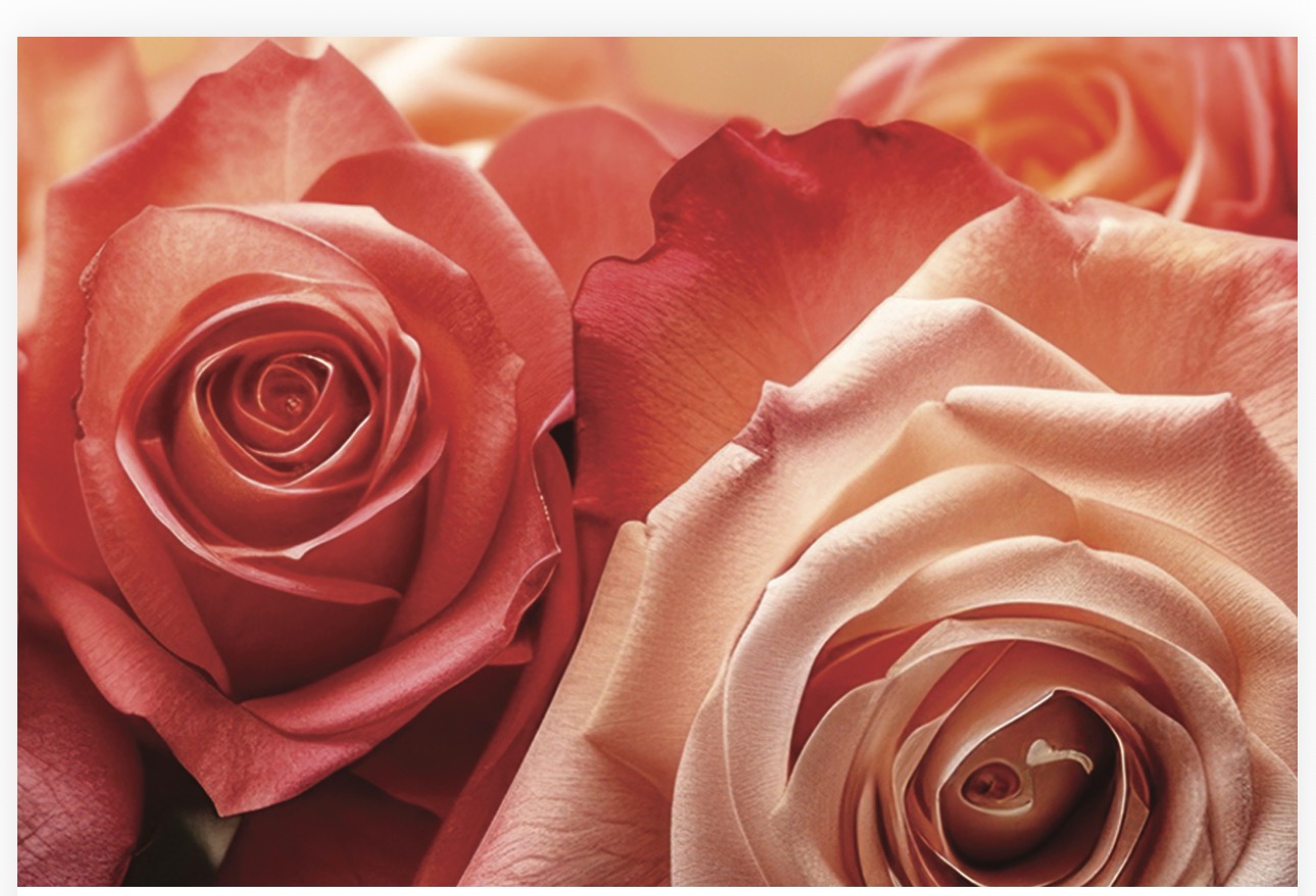 Folded Vintage Flowers, The Baggery Sundries UK Ltd Folded Vintage Flowers