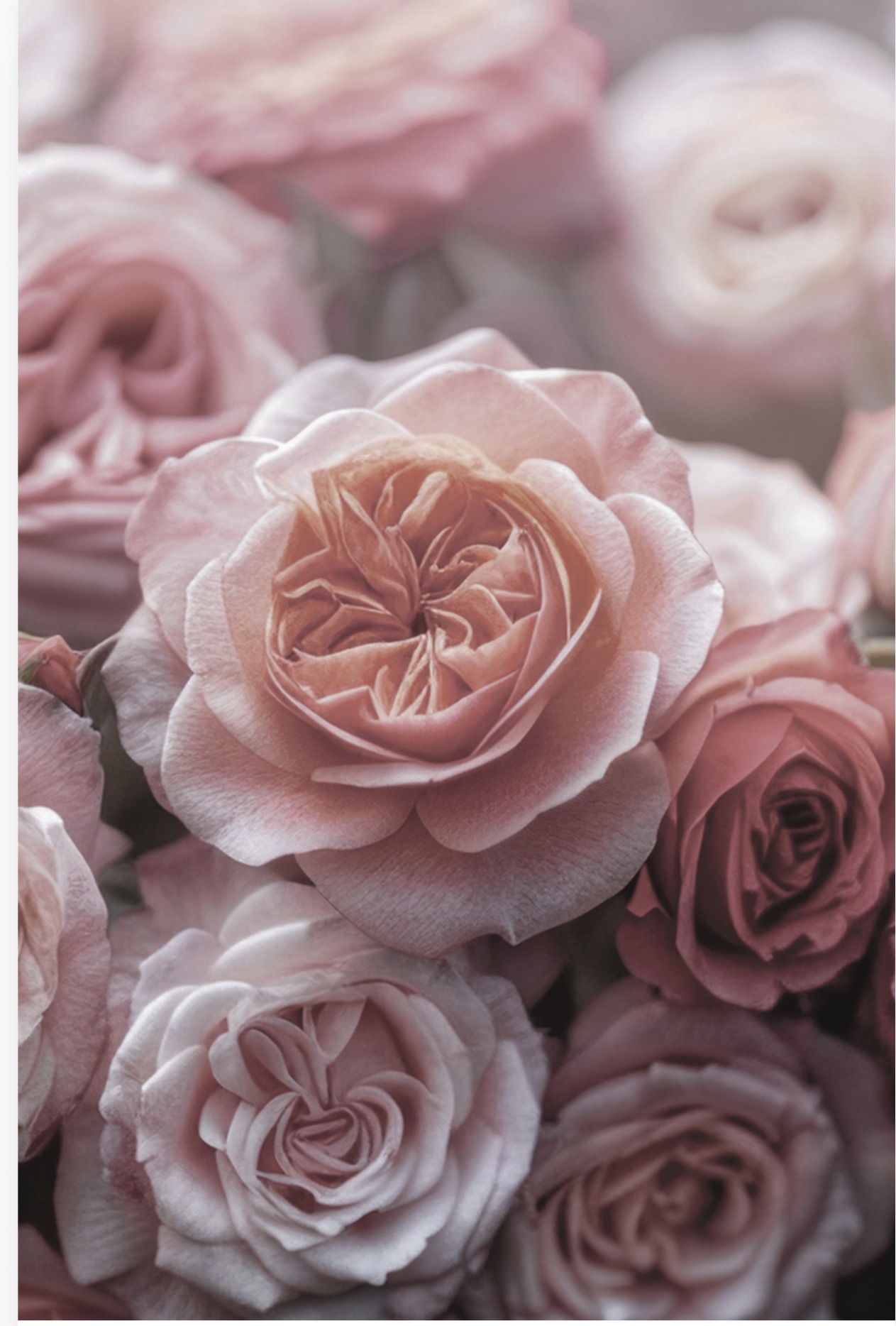 Folded Vintage Flowers, The Baggery Sundries UK Ltd Folded Vintage Flowers