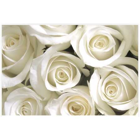 Folded White Roses