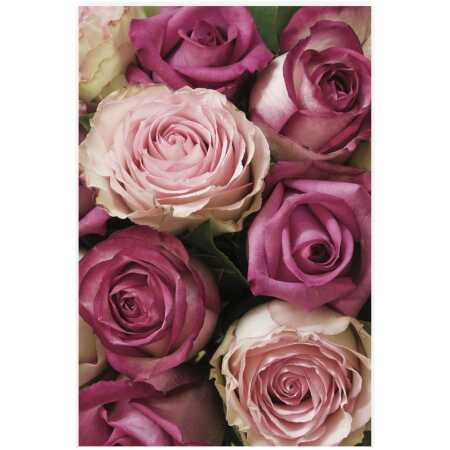 Folded Tonal Pink Roses