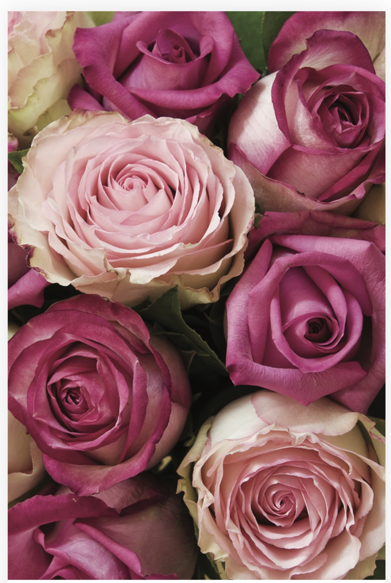 Folded Vintage Flowers, The Baggery Sundries UK Ltd Folded Vintage Flowers