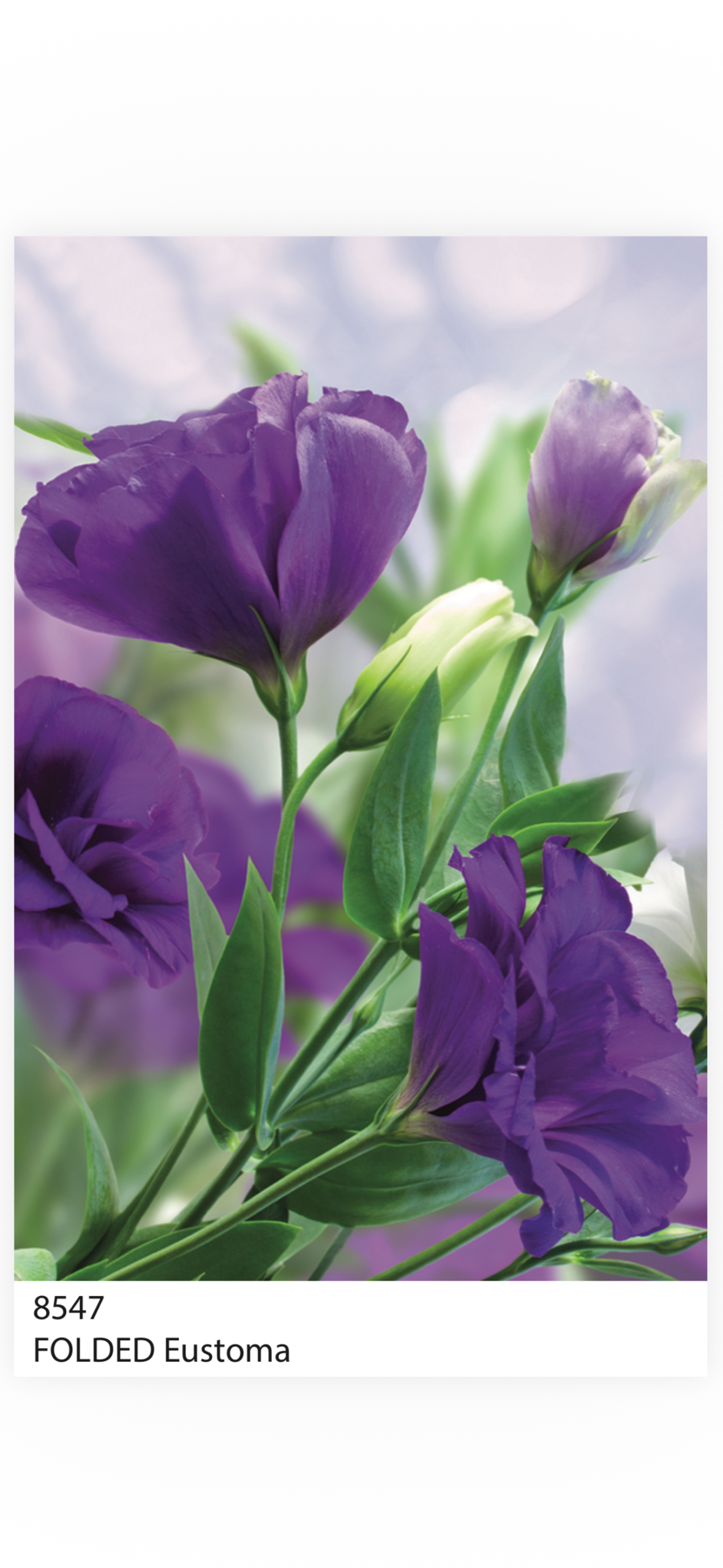 Folded Vintage Flowers, The Baggery Sundries UK Ltd Folded Vintage Flowers