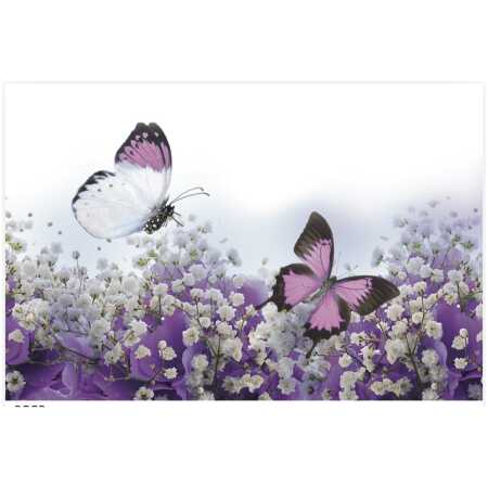 Folded Bright Butterflies