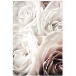 Folded Soft Roses