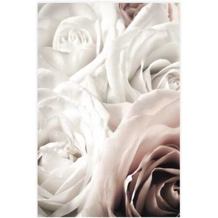 Folded Soft Roses