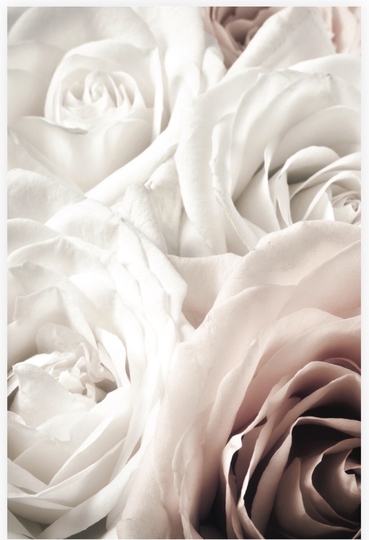 Folded Vintage Flowers, The Baggery Sundries UK Ltd Folded Vintage Flowers