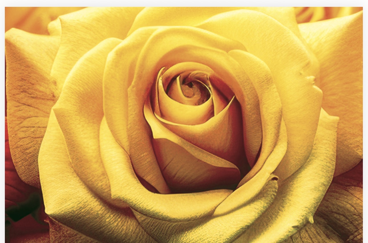 Folded Vintage Flowers, The Baggery Sundries UK Ltd Folded Vintage Flowers