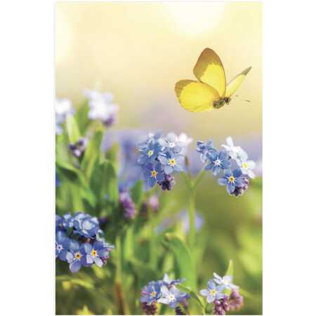 Blue Forget Me Nots & Butterflies