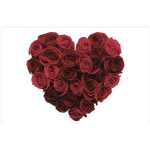 Folded Red Rose Heart