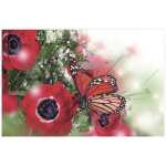 Folded Poppies & ButterFlies