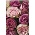 Folded Tonal Pink Roses